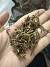 百華源山蜜草 山密草 別名：長(cháng)壽草仙密草冰糖草非茶包 100g 曬單實(shí)拍圖