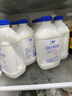 蘭格格 草原酸奶 專(zhuān)利活菌1kg*1 生鮮低溫酸牛奶 可制干噎希臘老酸奶 曬單實(shí)拍圖