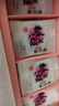 東阿阿膠桃花姬阿膠糕300g即食阿膠糕禮盒營(yíng)養品補品中秋禮盒倪妮推薦 曬單實(shí)拍圖