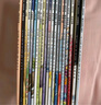 京東好書 神奇校車橋梁書版（全20冊）橋梁書 科普 百科 少兒 4歲 5歲 6歲 7歲 8歲暑假作業(yè) 一升二暑假銜接 小升初暑假銜接 曬單實拍圖
