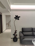 雅致1.3-1.5m黑金剛橡皮樹(shù)綠植客廳好養室內大型盆栽擺件圓球源頭直發(fā) 曬單實(shí)拍圖