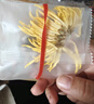 京東京造 升級版菊花決明子198g 禮盒 靈芝金絲皇菊去熬夜火疏肝目煮養生 曬單實(shí)拍圖
