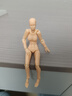 繪畫(huà)素體 figma 青年版 2.0素體 肌膚銀灰男女 關(guān)節可動(dòng) 手辦 2.0膚色女 國產(chǎn)優(yōu)質(zhì)版 曬單實(shí)拍圖