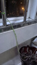 山烏龜植物金不換盆栽紅藤血藤水培盆景爬藤室內(nèi)桌面多肉綠植花卉 直徑14-16厘米1個(gè)紅藤山烏龜 送贈品 曬單實(shí)拍圖