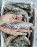 鮮京采 原裝進(jìn)口厄瓜多爾白蝦 凈重3.3斤 大號30-40規格 50-66只/盒 曬單實(shí)拍圖