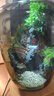 苔蘚微景觀(guān)辦公室diy桌面擺件禮物創(chuàng  )意造景生態(tài)瓶室內綠植盆栽 時(shí)來(lái)運轉（流水款）+木質(zhì)燈座 曬單實(shí)拍圖