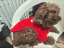 DADAGOU小狗狗衣服冬季新款寵物服裝貓咪小型犬寵物衣服兩腿絨衣小狗絨衣 大紅 L 曬單實(shí)拍圖