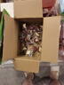 三只松鼠棗夾核桃450g紅棗堅果核桃休閑零食新疆免洗大棗送禮約90顆 曬單實(shí)拍圖