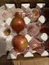 京鮮生 山東鐵皮草莓西紅柿 凈重4.5斤 單果60-150g水果番茄源頭直發(fā) 曬單實(shí)拍圖