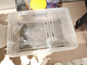 龜真壽 爬寵飼養盒 中號 角蛙蜈蚣蝎子蜘蛛飼養盒寵物蛇飼養箱烏龜蝸牛 曬單實(shí)拍圖