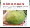 京鮮生 攀枝花凱特芒果 凈重8.5斤 帶箱9斤 單果500g+ 生鮮水果源頭直發(fā) 曬單實(shí)拍圖