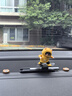 迪加倫車(chē)載滑動(dòng)滑板熊擺件卡通滑板車(chē)擺件搖擺小裝飾品屏幕擺件動(dòng)動(dòng)熊黃 曬單實(shí)拍圖