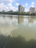 神鯊湖庫王4.5米魚(yú)竿超輕超硬碳素釣魚(yú)竿手竿臺釣竿鯉魚(yú)桿鯽魚(yú)竿漁具 曬單實(shí)拍圖