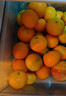 顧果鮮廣西砂糖橘當季時(shí)令新鮮水果金秋沙糖桔砂糖蜜橘桔子柑橘整箱生鮮 9斤優(yōu)選果凈重8.5斤 曬單實(shí)拍圖