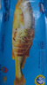 海鼎紀三去海鱸魚(yú)2條裝共800g 開(kāi)背鱸魚(yú)生鮮魚(yú)類(lèi) 海鮮水產(chǎn)夜宵食材 曬單實(shí)拍圖