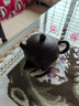 宜興紫砂壺手工西施壺原礦黑金砂泡茶壺功夫茶壺茶具單壺 黑金砂西施壺 雙魚(yú)款（簡(jiǎn)裝） 曬單實(shí)拍圖