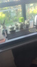 京東京造 茶具整套 套裝茶盤(pán)臺杯功夫泡煮【自動(dòng)上水】汝窯20頭 曬單實(shí)拍圖