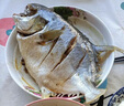 翔泰 海南大規格金鯧魚(yú)550g1條 海魚(yú) 生鮮魚(yú)類(lèi) 火鍋 海鮮水產(chǎn) 曬單實(shí)拍圖