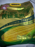 十月稻田 黃糯玉米 3.52斤(220g*8根) 25年新玉米 低脂 早餐零食 東北玉米 曬單實(shí)拍圖