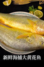 產(chǎn)地直采寧德冰鮮黃花魚(yú)400g-500g/條 曬單實(shí)拍圖