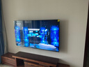 海信電視65E5N Pro+ 65英寸 DeepSeek AI電視 528分區Mini LED 高刷E5ND-PRO 以舊換新家電國家補貼20% 65英寸 咨詢(xún)立減20% 曬單實(shí)拍圖