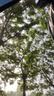 尚烤佳（Suncojia）自動(dòng)充氣床墊戶(hù)外露營(yíng)裝備野餐野營(yíng)家用氣墊床防潮墊睡墊 曬單實(shí)拍圖