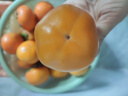 壹萌果蔬脆柿子巧克力柿子當季新鮮甜脆柿山西水果現摘黃硬柿子送禮盒 5斤精選果【單果100g+】?jì)?.5斤 曬單實(shí)拍圖