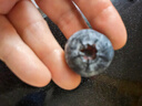 京地達秘魯進(jìn)口藍莓凈含量115g*4盒單果22mm+ 新鮮藍莓水果源頭直發(fā)包郵 曬單實(shí)拍圖