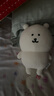 名創(chuàng  )優(yōu)品（MINISO）自嘲熊正版玩偶8寸小熊公仔帕格玩偶可愛(ài)女生中秋節生日禮物送禮 8寸站姿毛絨公仔-自嘲熊 曬單實(shí)拍圖