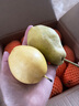 序鮮途甘肅老品種香蕉梨洋梨太婆梨子啤梨老人吃的面梨水果禮盒 凈重8.5-9斤中果【25-30顆】 曬單實(shí)拍圖