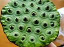 鮮級佳新鮮蓮蓬現摘生吃甜嫩蓮子米浙江太空蓮當季應季孕婦時(shí)令水果整箱 凈重3斤新鮮蓮蓬【冰袋保鮮】 曬單實(shí)拍圖