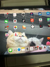 Apple蘋(píng)果平板電腦 ipadPro2020 2021 2022 24款M2/M4二手高刷 11寸:ipadpro2022 256G WiFi版（顏色備注） 99新 曬單實(shí)拍圖