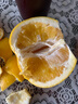 鑫果滋 黃金葡萄柚 爆汁柚子西柚福建漳州平和柚新鮮水果中秋禮品禮盒 凈重5斤丨含開(kāi)果器 中果丨單果250-450g 曬單實(shí)拍圖