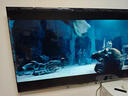 海信（Hisense）電視 X65 65英寸 2025款 8K超高清護眼 遠揚語(yǔ)音 全金屬全面屏智能網(wǎng)絡(luò )高清平板顯示器 85英寸網(wǎng)絡(luò )版(送掛架+座架) 曬單實(shí)拍圖