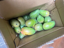 廣西小臺農芒果 新鮮水果 帶箱3斤【單果60-80g】 曬單實(shí)拍圖