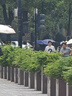 羅技（G）gpw二代無(wú)線(xiàn)鼠標游戲電競狗屁王二代gpw2金剛版人體工學(xué)輕量化機械充電雙模鼠標七夕節禮物送男友 GPW二代猛男粉 曬單實(shí)拍圖