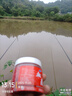 犇大叔釣魚(yú)麥子麝香魚(yú)餌料顆粒直接掛鉤野釣競技窩料酒米鯽魚(yú)鯉魚(yú)草魚(yú) 一罐1000顆 曬單實(shí)拍圖