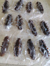 久年大連即食海參京東自營(yíng)3斤裝10-12頭*3獨立包裝開(kāi)袋即食 遼參海鮮 曬單實(shí)拍圖