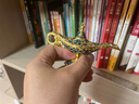 迪加鹿阿拉丁神燈創(chuàng  )意金屬工藝品擺件禮品小號俄羅斯鏤空許愿燈 金邊藍 曬單實(shí)拍圖