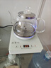 益茶福全自動(dòng)上水電熱水壺茶臺燒水壺飲水燒水一體機玻璃底部上水單壺茶幾煮茶壺保溫泡茶壺開(kāi)水壺煲水壺 1L 藍光玻璃套裝316鋼 曬單實(shí)拍圖