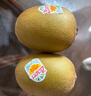 佳沛（zespri）佳沛奇異果新西蘭進(jìn)口陽(yáng)光金果【JD順豐-送貨上門(mén)】黃心獼猴桃 【禮盒】20顆 特大果約110-120g 曬單實(shí)拍圖