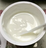 卡士（CLASSY.KISS）【全程冷鏈】100g*6杯乳酸菌原味酸奶 低溫酸奶 風(fēng)味發(fā)酵乳 曬單實(shí)拍圖