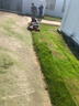 海道割草機GXV160本田動(dòng)力20寸手推草坪機割草機汽油機打草機除草機 曬單實(shí)拍圖