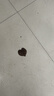 劍南春 水晶劍 52度 558mL*6 濃香型白酒 整箱裝 年份隨機(jī)發(fā)貨 曬單實(shí)拍圖