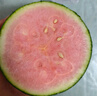 藤上熟吊秧小西瓜1粒1.5kg 曬單實(shí)拍圖