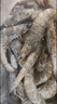 東上御品 國產(chǎn)青島大蝦 特大號白蝦 2030規格 凈重3斤 盒裝活凍 曬單實(shí)拍圖