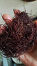鮮窩窩 日曬海發(fā)菜干貨100g 免洗發(fā)菜絲頭發(fā)菜發(fā)財(cái)菜海藻煲湯食材 曬單實(shí)拍圖