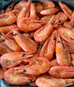美加佳頭籽熟凍北極甜蝦凈重3斤 90/120規格 頭籽率95%  中秋送禮 曬單實(shí)拍圖