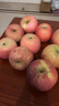 檸檬幫25年頭茬新果下樹(shù)脆甜紅富士蘋(píng)果 新鮮應當季蘋(píng)果孕婦水果 5斤帶箱【凈重4.5斤】 單果75-80mm 曬單實(shí)拍圖