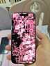 Apple/蘋果 iPhone 17 256GB 白色 支持移動聯(lián)通電信5G 雙卡雙待手機 曬單實拍圖